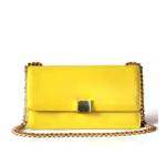 셀린느 케이스백 옐로우