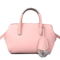 디올 토드크로스백 연핑크