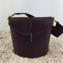 셀린느 절개 숄더백