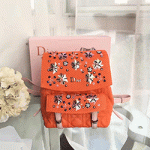 크리스찬 디올 백팩