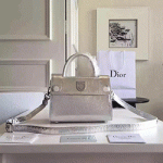 크리스찬 디올 Ever 숄더백 스몰 실버