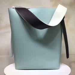 셀린느 신상 트위스트 카바스백