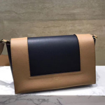 [최고급 버전] 셀린느 신상 가방 180263