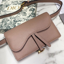 크리스찬디올 웨이스트 백 DR-190530