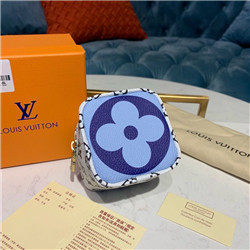 루이비통 LV-M67669
