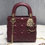 크리스찬디올 토드백 17cm DR-190820