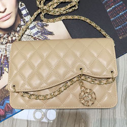 샤넬 플랩 WOC백 19cm 200113