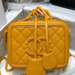 샤넬 카메라 케이스 17cm 201014