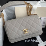 샤넬 플랩 백 CH201107