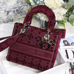 크리스찬디올 토드백 24cm DR-201128