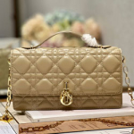 크리스찬디올 숄더백 230411