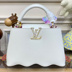 루이비통 카퓌신 PM M22121