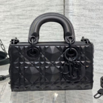 크리스찬디올 숄더백 DR230826