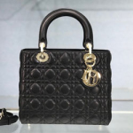 크리스찬디올 숄더백 DR230913