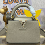 루이비통 카퓌신 미니 M24729